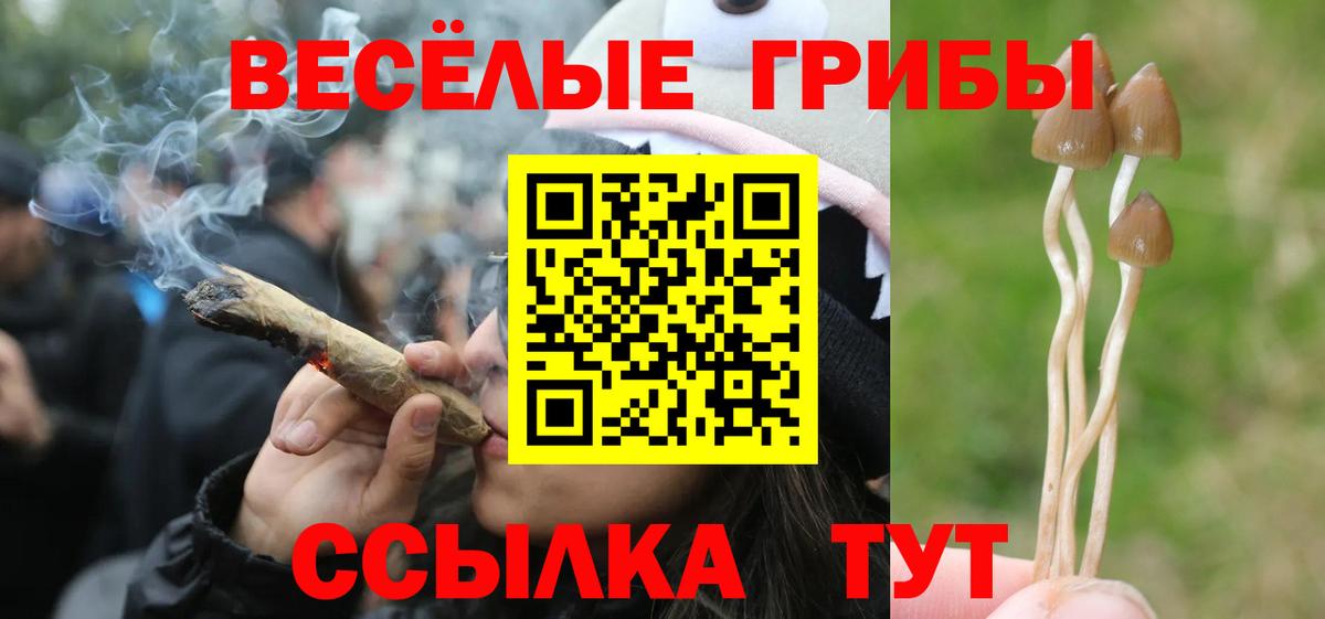 Галлюциногенные грибы прущие грибы  Вход с VPN  Озёры 
